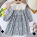 【2Y-7Y】Girls Blue Floral Lapel Long Sleeve Dress